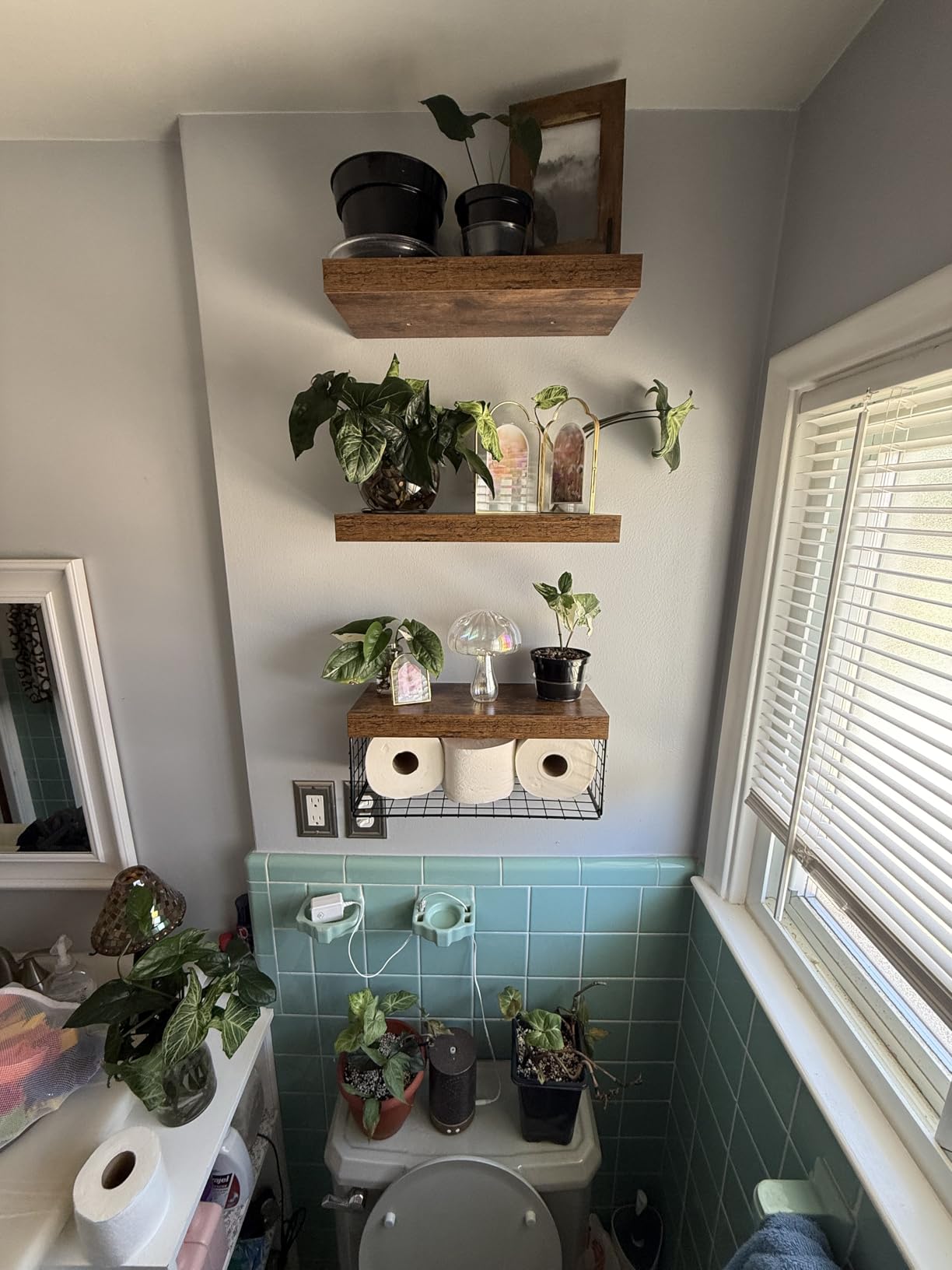QEEIG Bathroom Shelves Over Toilet - Wall Mounted Floating Shelves Toilet Paper Storage Small Farmhouse Decor Shelf 16 inch Set of 3, Rustic Brown (019-BN3) customer photo 1