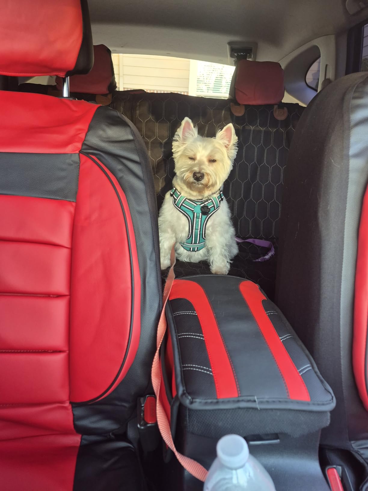 CAR PASS Leather Seat Covers Full Set Universal Water Resistant 3D Foam Back Support, Luxury Comfort Automotive 5 Seat Covers All Season Fit for SUV,Sedan,Van, Airbag Compatible Elegance(Beige Black) customer photo 1