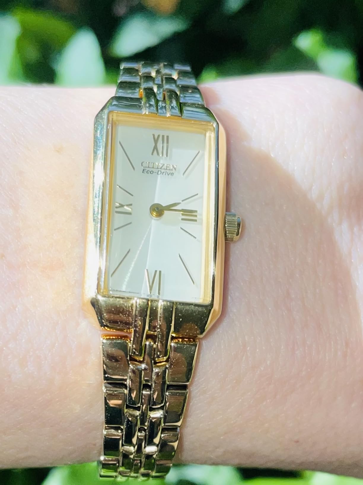 Citizen Ladies' Eco-Drive Classic Dress Corso Watch customer photo 1