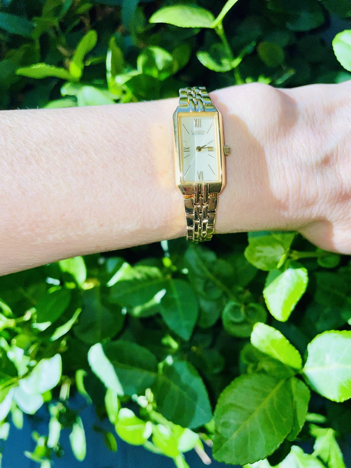 Citizen Ladies' Eco-Drive Classic Dress Corso Watch customer photo 2