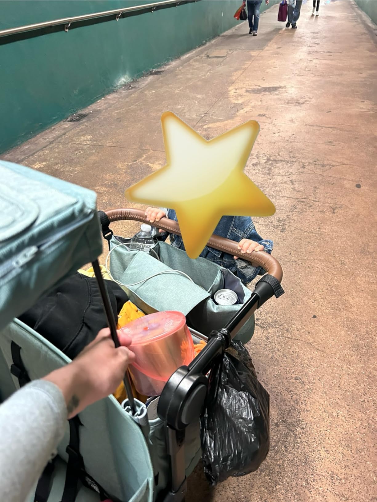 Radio Flyer Atlas Stroll 'N Wagon customer photo 1