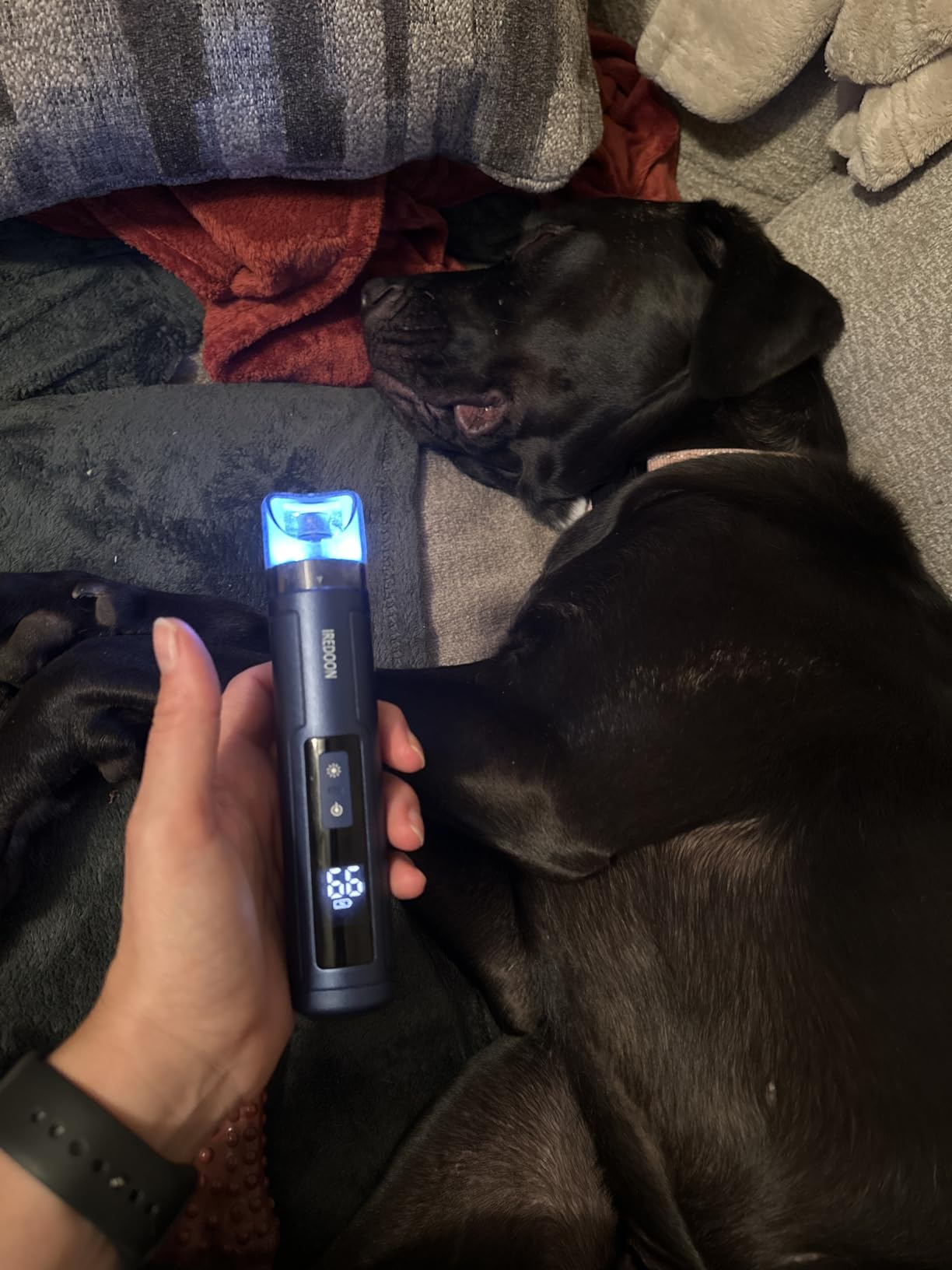 IREDOON Dog Nail Grinder Upgraded - Professional 3-Speed Super Quiet and Low Vibration Electric Pet Nail Grinder with 4 LED Lights - Painless Paws Grooming & Smoothing for Small to Large Dogs (Green) customer photo 2