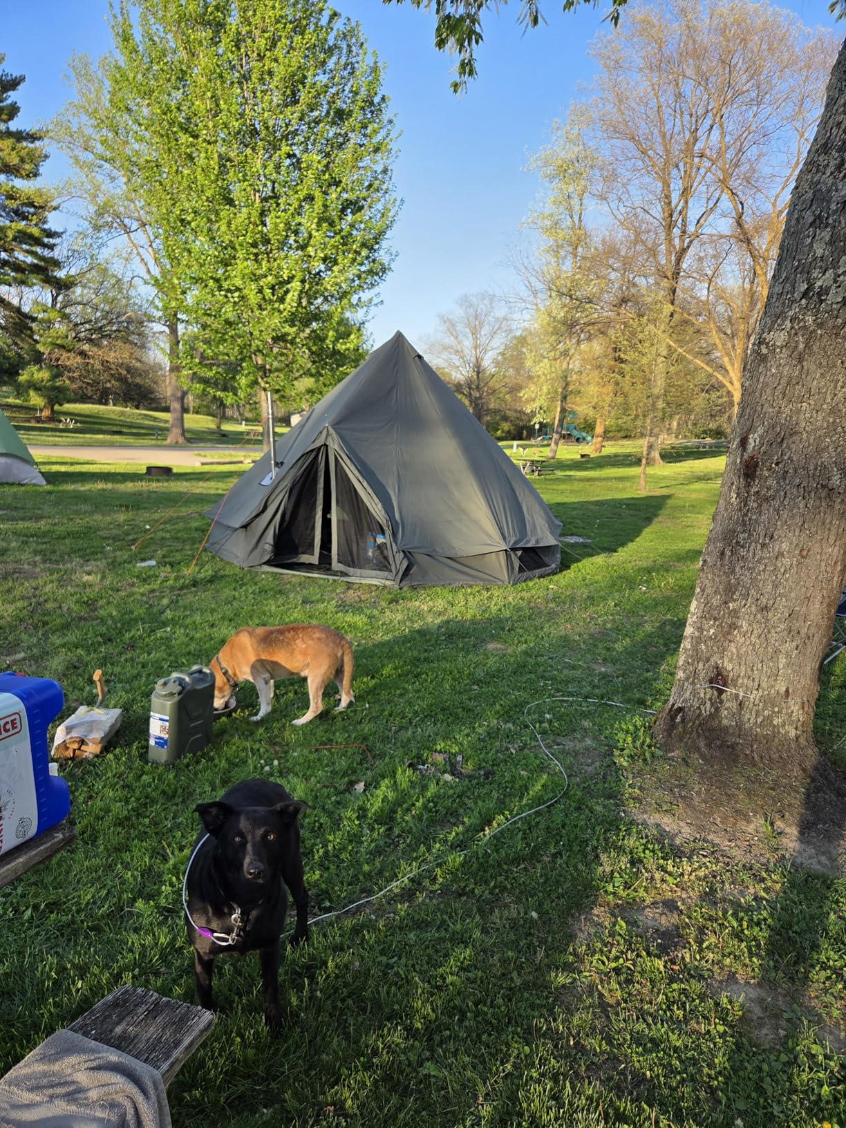 Cotton Canvas Bell Tent with Stove Jack, Roomy Yurt for Family Glamping Camping, 4 Season Tent with Zipped Removable Floor customer photo 1