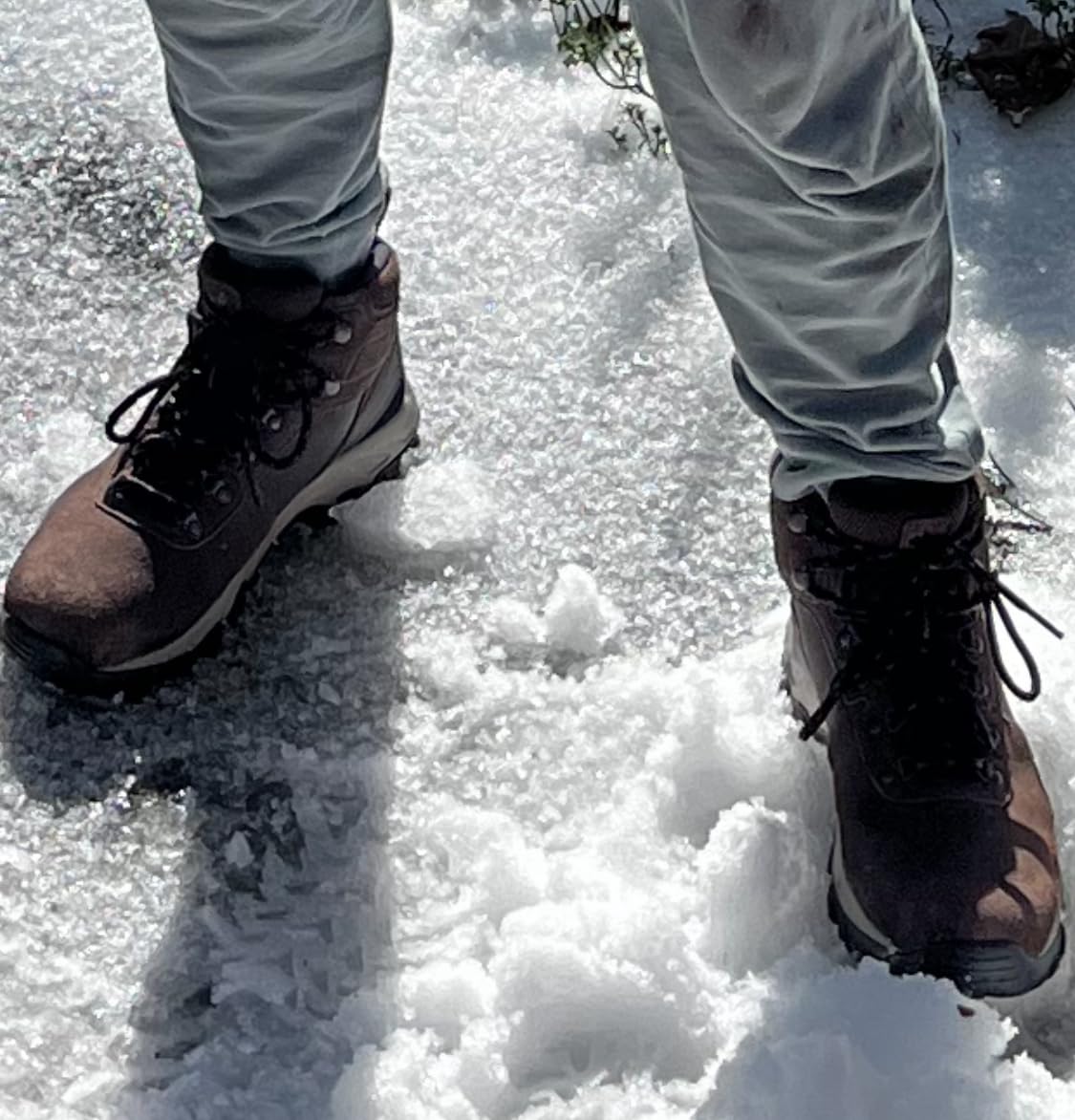 Columbia Men's Newton Ridge Plus II Suede Waterproof Hiking Boot customer photo 2