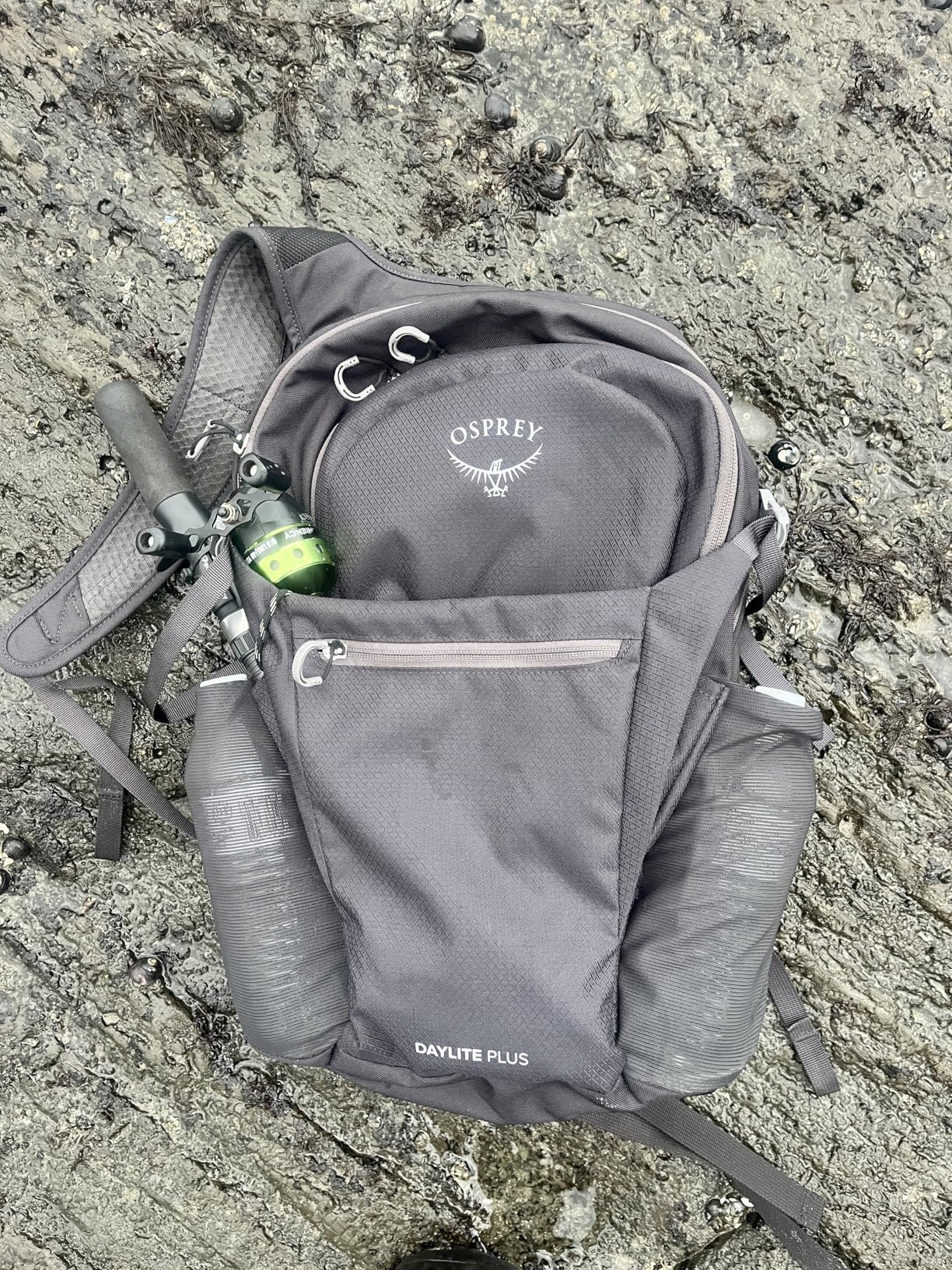 Osprey Daylite Plus Commuter Backpack - Lightweight, Everyday Pack with Laptop Sleeve and Water Bottle Pockets customer photo 2