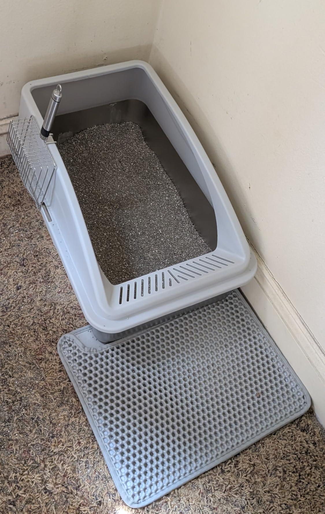 Stainless Steel Litter Box | XL Enclosed Cat Litter Boxes with Lid for Big Cats | High Sided, Anti-Urine Leakage | Non-Stick Bottom & Includes Litter Mat & Metal Scoop customer photo 1