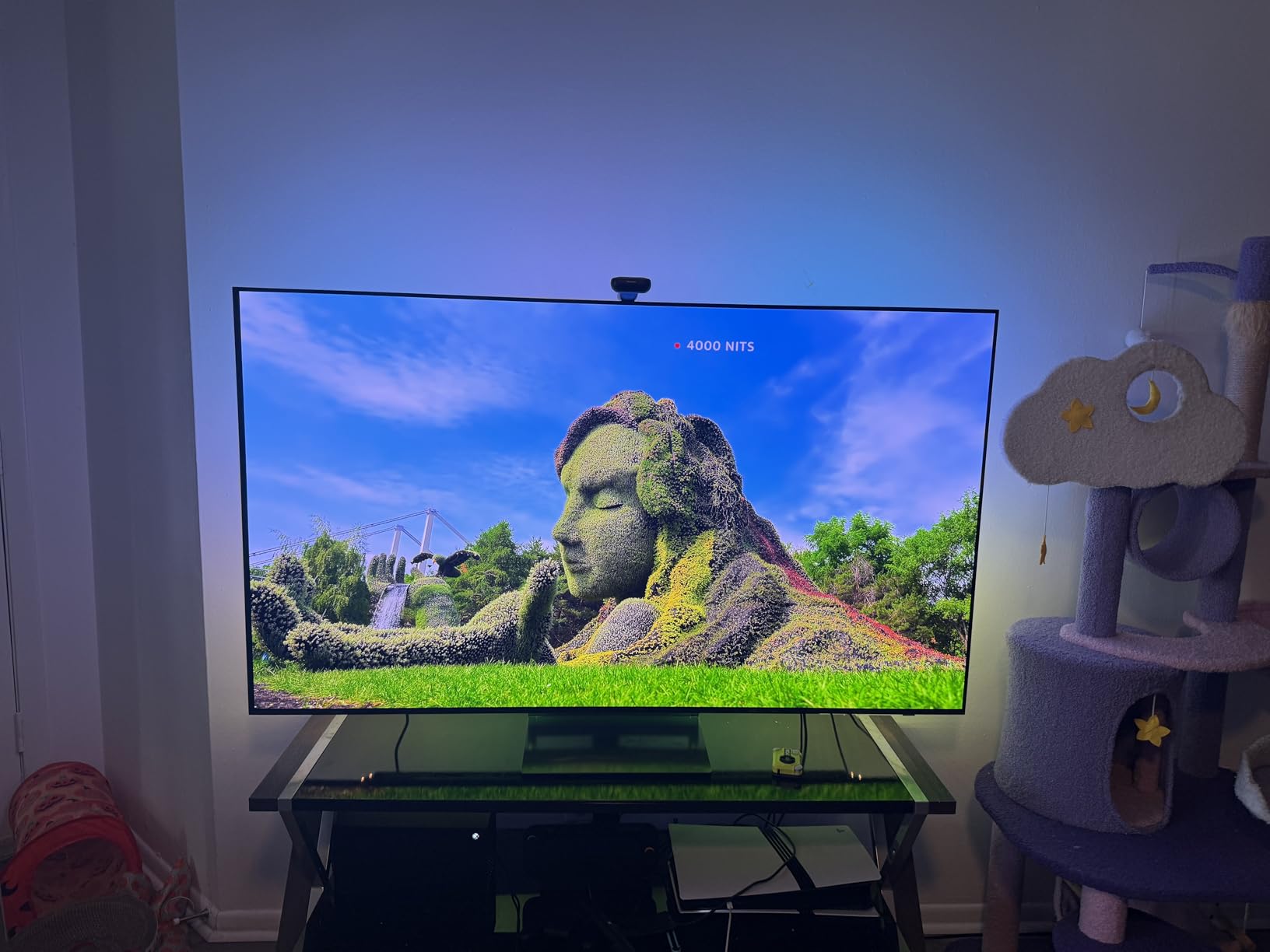Samsung 65-Inch Class OLED 4K S90D Series HDR+ Smart TV customer photo 1