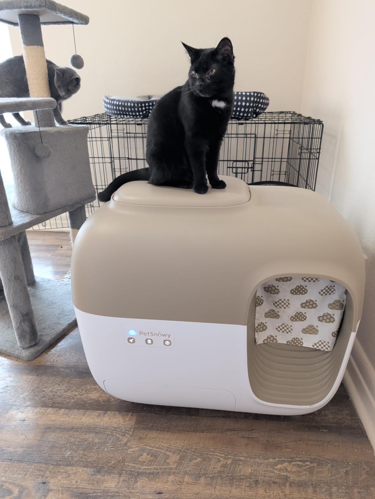 PetSnowy Self-Cleaning Automatic Cat Litter Box with Odor Control TiO2 System, Robot Litter Box with Auto-Packing, App Control, Large Cats & Multiple Cats (2026 Premium Version) customer photo 1