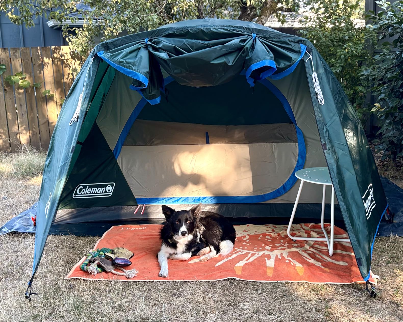 Coleman Skydome Tent with Full-Fly Weather Vestibule, Weatherproof 4/6 Person Tent Sets Up in 5 Minutes & Protects from Water, 20% More Headroom Than Traditional Shelters customer photo 2
