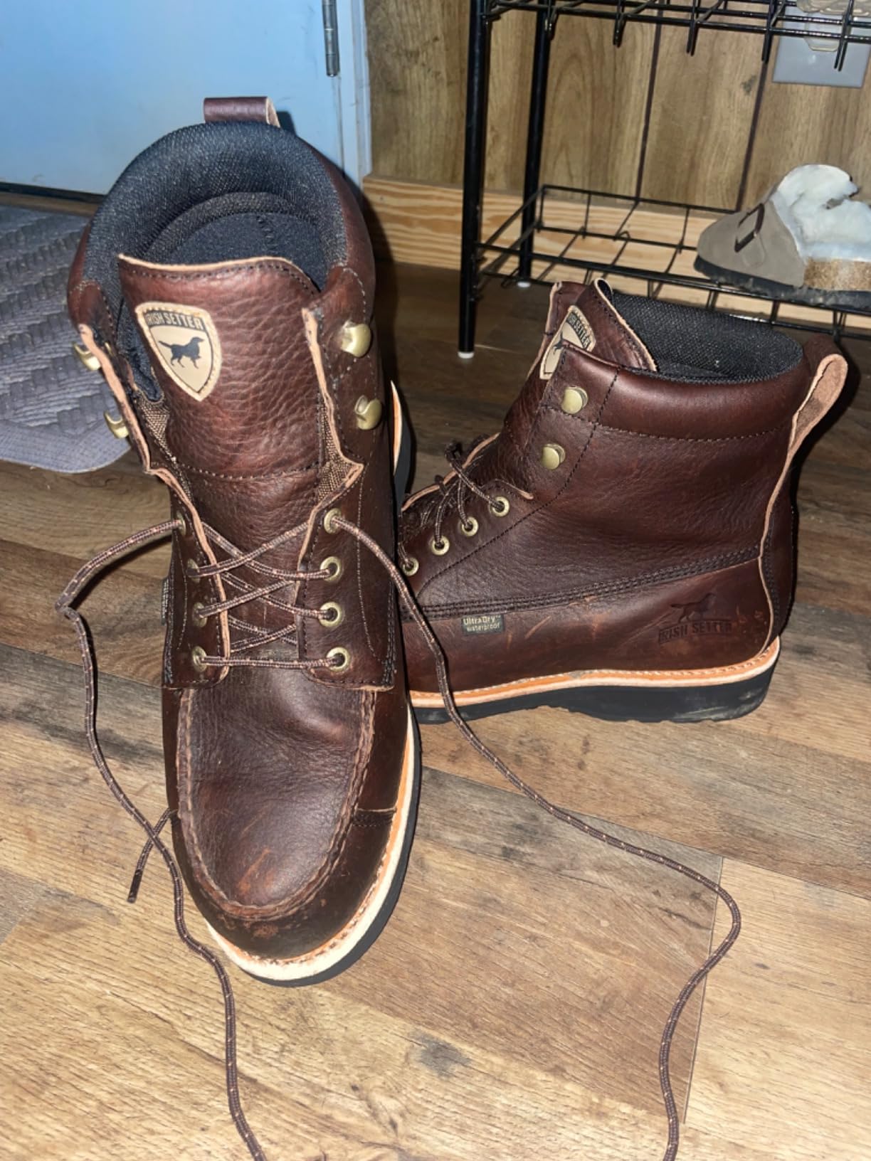Irish Setter Wingshooter Men's 7