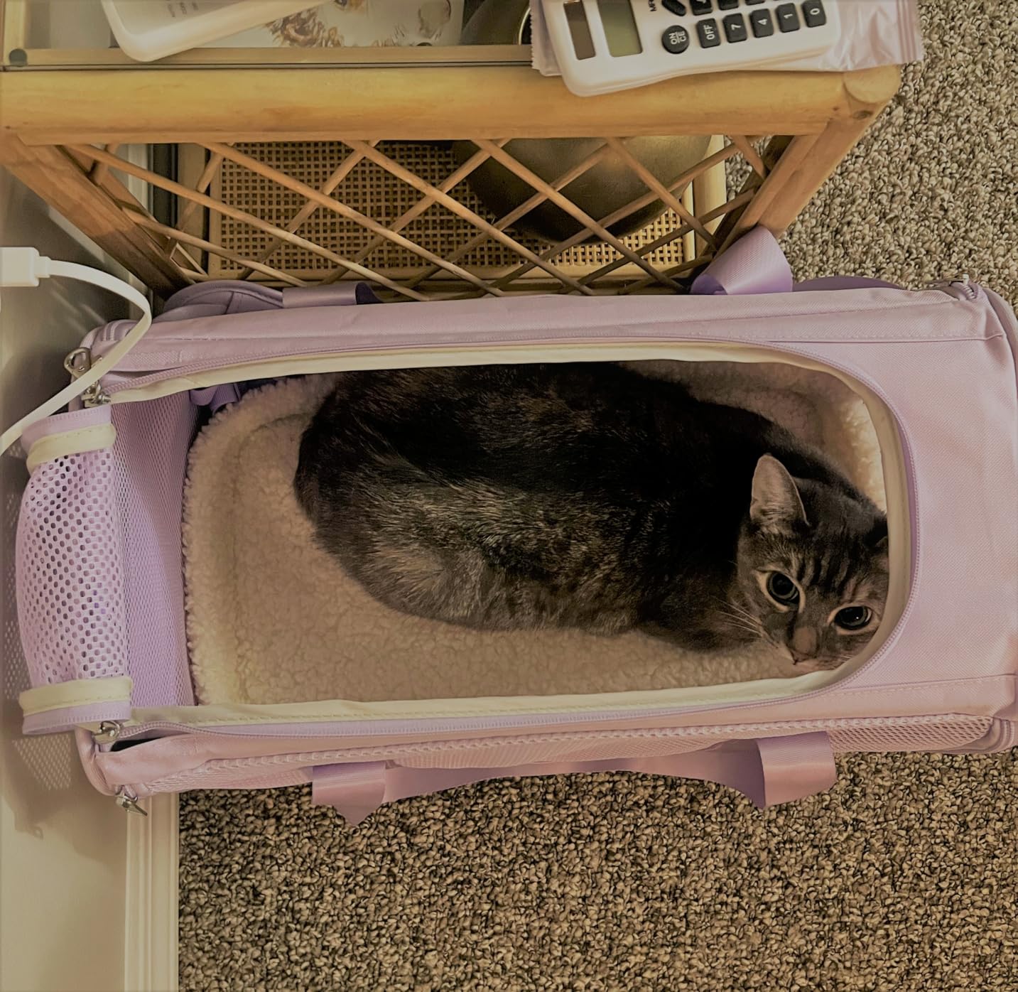 PETSFIT Soft-Sided Cat Carrier with Patented Safety Buckles, Lockable Zippers & Safety Tether,Escape-Resistant Travel Pet Carrier for Car Rides & Vet Visits, Airline Approved Under-Seat, Up to 12 lbs customer photo 2
