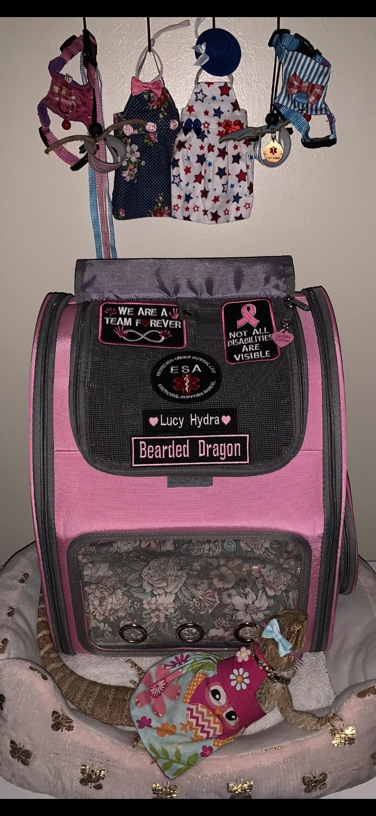 Expandable Pet Carrier Backpack, Airline Approved Cat & Dog Backpack Carrier, Soft-Sided Travel Backpack with 4 Entrances, Breathable Ventilated Design, Holds up to 25 lbs customer photo 2