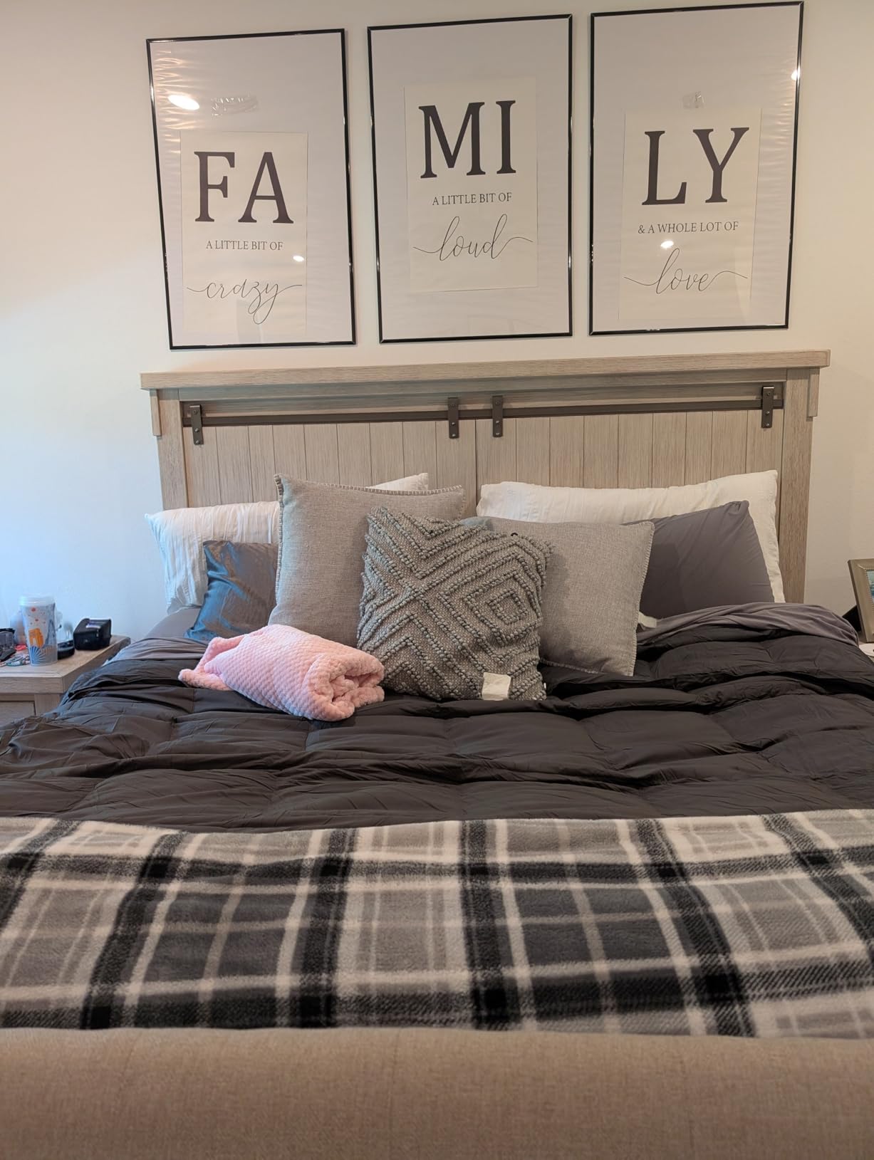 Grey Goose Feather Down Comforter Queen Size, Premium All Season Duvet Insert, 750+ Fill Power 1200TC Cotton Blend Fabric Hotel Style Comforter, 42 Oz Lightweight (90x90, Dark Grey) customer photo 1