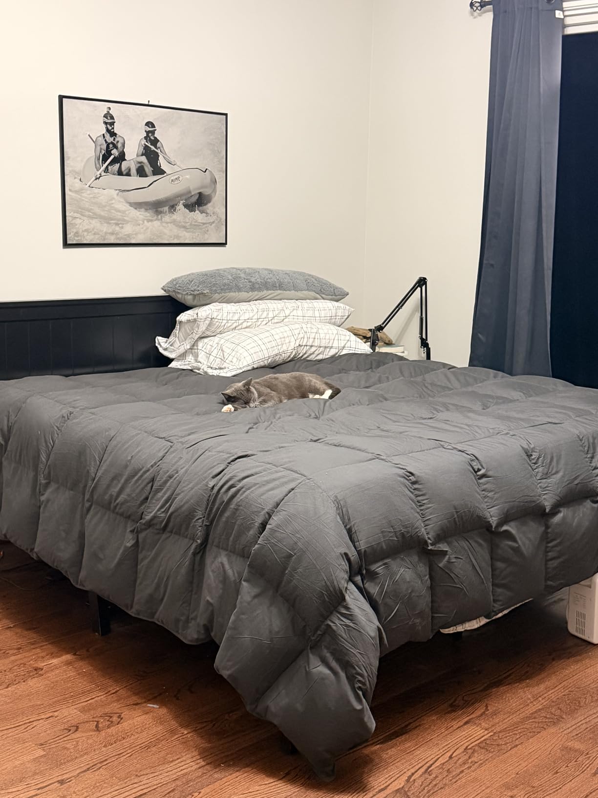 Grey Goose Feather Down Comforter Queen Size, Premium All Season Duvet Insert, 750+ Fill Power 1200TC Cotton Blend Fabric Hotel Style Comforter, 42 Oz Lightweight (90x90, Dark Grey) customer photo 2