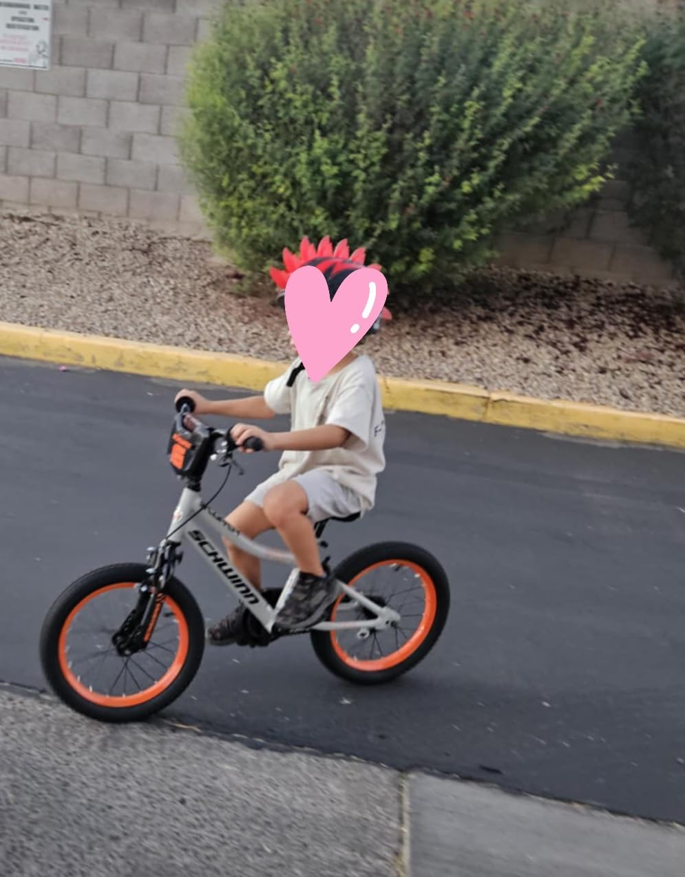 Schwinn Firehawk or Scorch Bike, 16 or 20 Inch Bike for Kids Ages 3-13, with Training Wheels or Adjustable Seat, Rear Coaster Brake & Front or Front & Rear Hand Brake customer photo 1