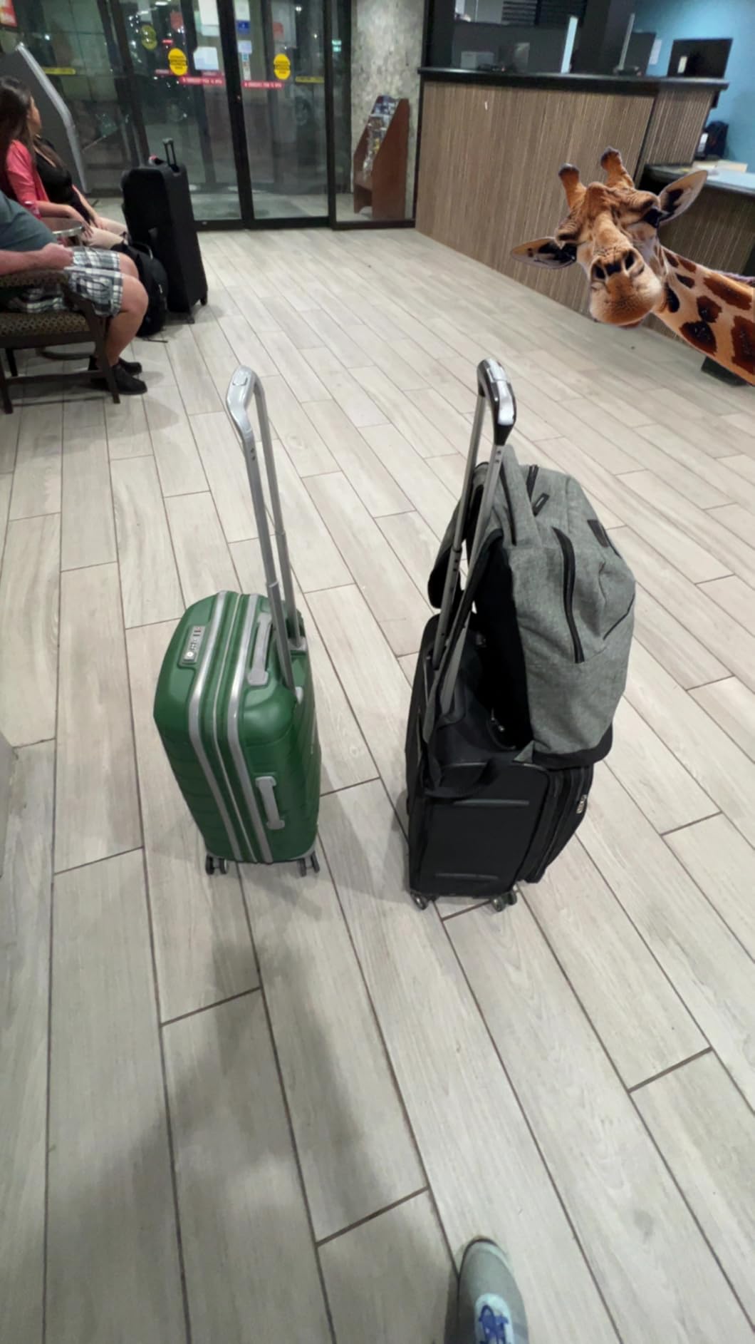 Samsonite Freeform Large Checked Luggage with Dual 360° Spinner Wheels - TSA Lock, Airline-Approved - Lightweight Durable Polypropylene Expandable Hardshell - Pine Green customer photo 1