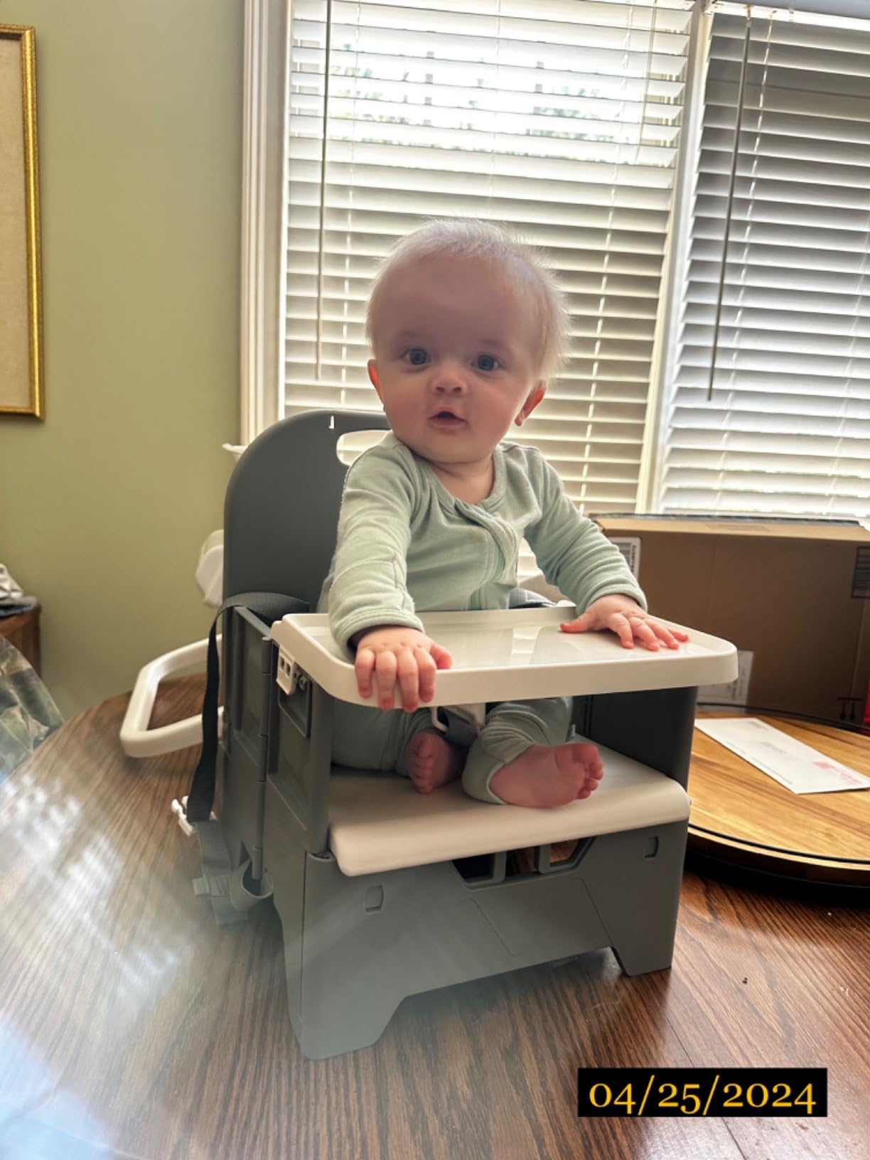Babelio Ergo-Designed Booster Seat for Kitchen Chair, Promote Proper Upright Posture customer photo 2