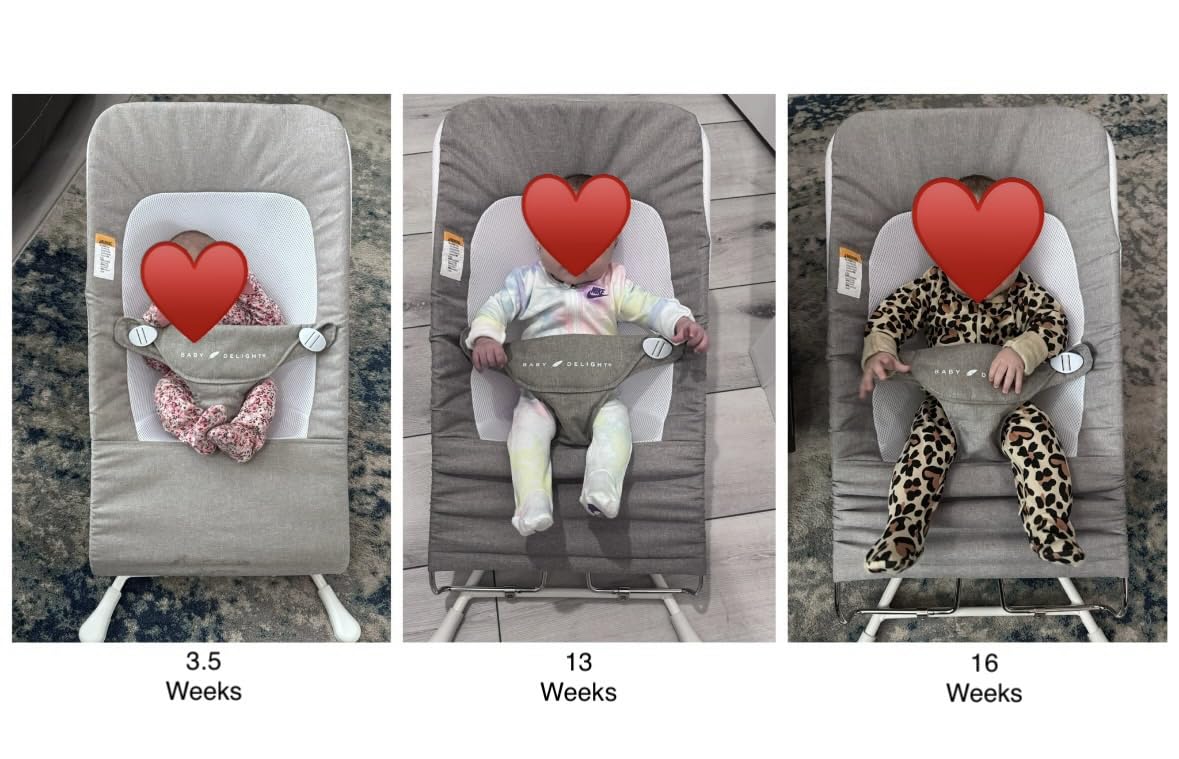 Baby Delight Highland Baby Bouncer | Infant | 0-6 Months | 3-Position Recline | Sage Tweed customer photo 1