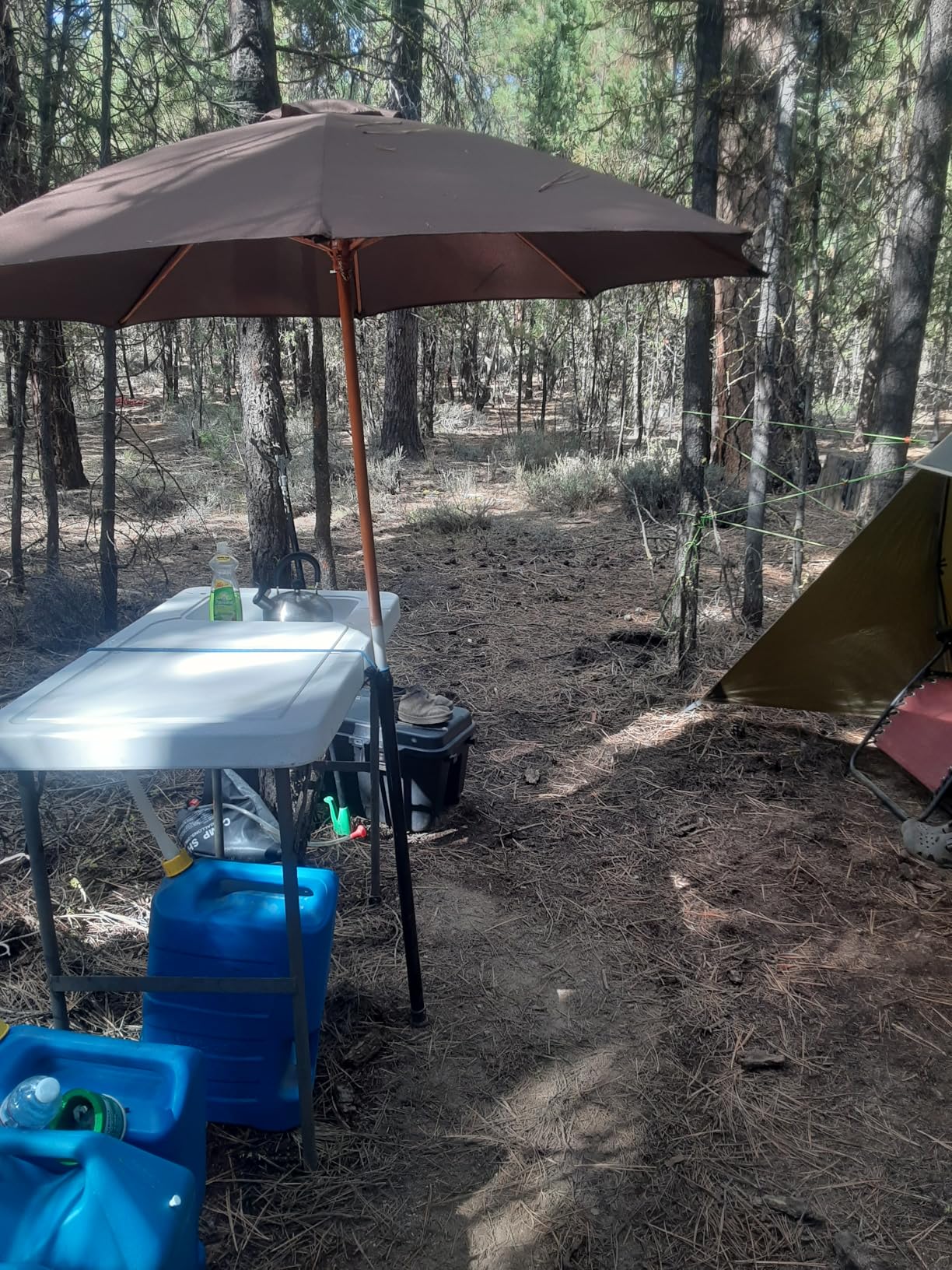 Three Bears Family Camping Tent - 6-Person Spacious Design, 3000mm Waterproof, Suitable for Road Trips/Backyards/Extended Camping Adventures in All Scenarios customer photo 2