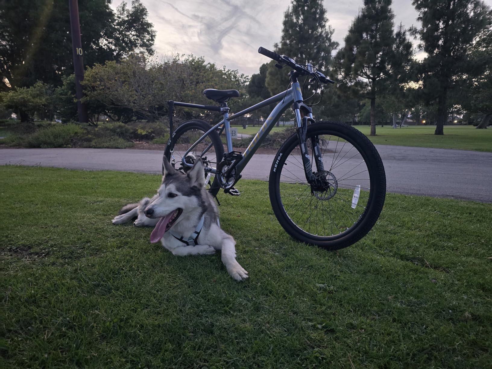 TRIFOX 26 Inch Aluminum Mountain Bike with Shimano 21-Speed, Aircraft-Grade Aluminum Frame, Dual Disc Brakes, 15/17 Inch Internal Cable Routing Frame customer photo 1