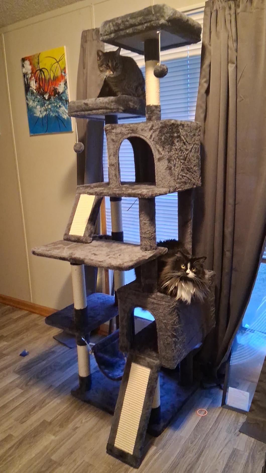 Gitelsnour Cat Tree for Indoor Cats, 71'' (180cm) Multi-Level Cat Tower for Large Adult, Sturdy Cat Tree House with 2 Scratching Boards 7 Posts, 2 Plush Perches/Condos, Hammock, Smoky Gray GCT032G customer photo 1
