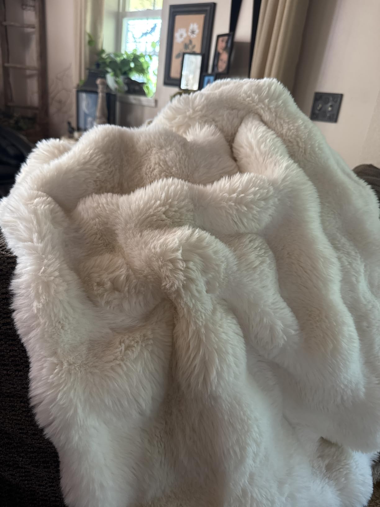 Bedsure GentleSoft Fluffy Faux Fur Throw Blanket for Couch, Soft Fuzzy Fleece Blankets & Throws, Cream Bed Decor Cozy Gifts for Women Teen Girls, Minky Thick Warm Plush customer photo 1