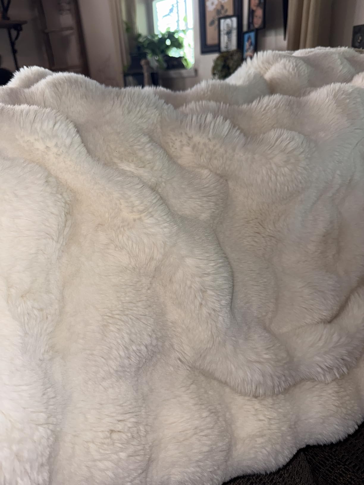 Bedsure GentleSoft Fluffy Faux Fur Throw Blanket for Couch, Soft Fuzzy Fleece Blankets & Throws, Cream Bed Decor Cozy Gifts for Women Teen Girls, Minky Thick Warm Plush customer photo 2