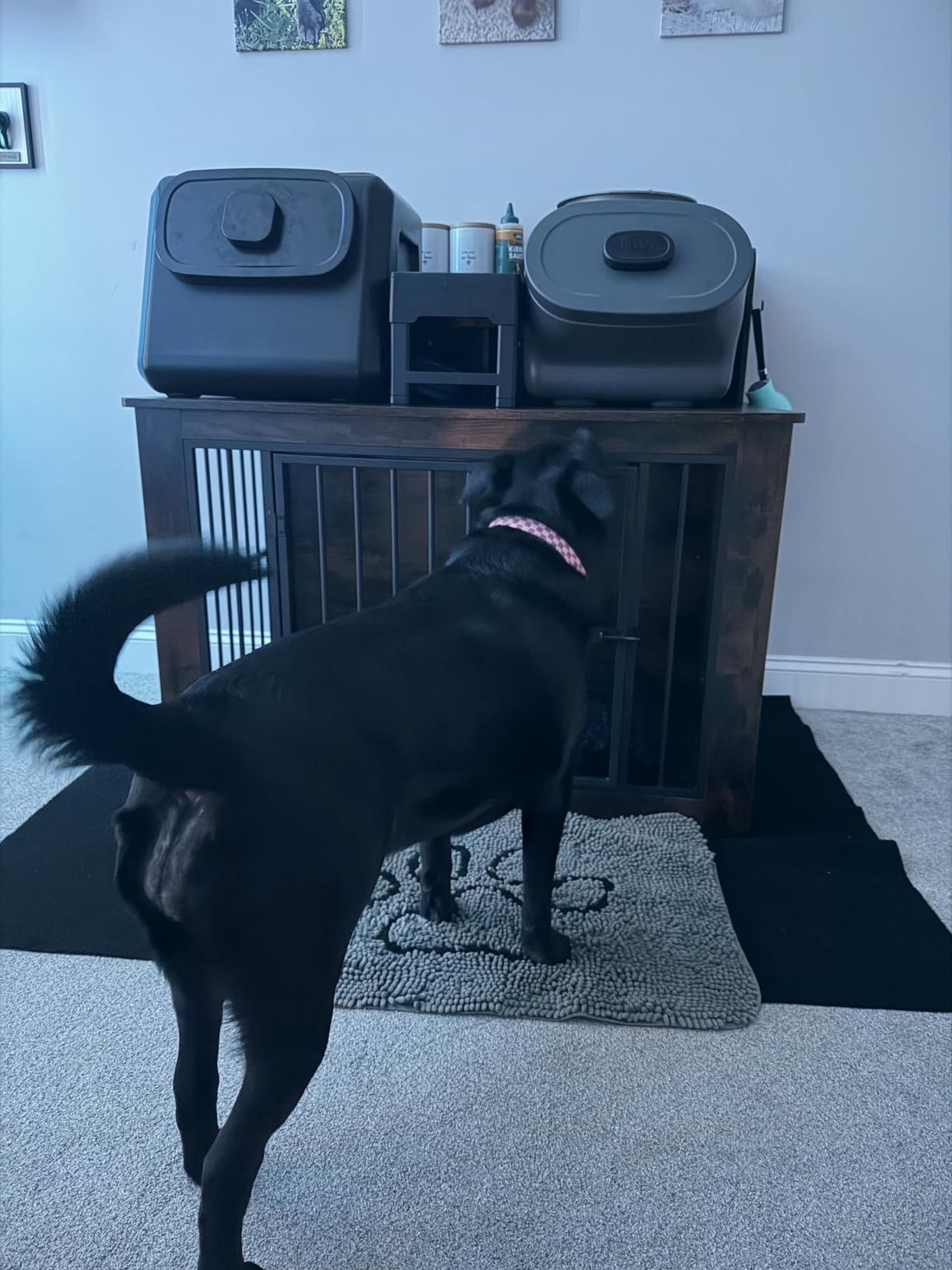 IRONCK Extra Large Dog Crate Furniture, 43.3 inches Wooden Dog Crate with Storage and 4 Hooks, Heavy Duty Pet Crate for Large Dog, Decorative Pet Cage for Indoor customer photo 2