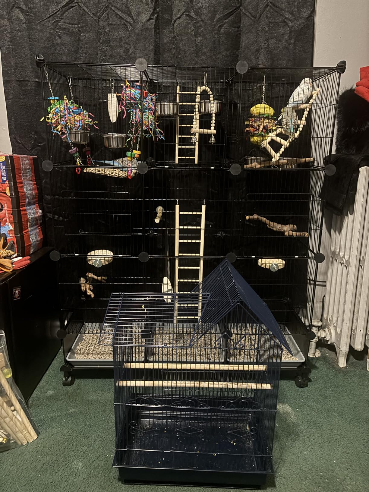 VISCOO Upgraded Encrypted 46-Inch Bird Cage, with Wooden Perches, Metal Parakeet Cage with Slide-Out Tray, Water Bottle & Feeder, Bird Cages for Parrot, Parakeets, Cockatiel, Lovebird, Small Mid-Sized Birds customer photo 1