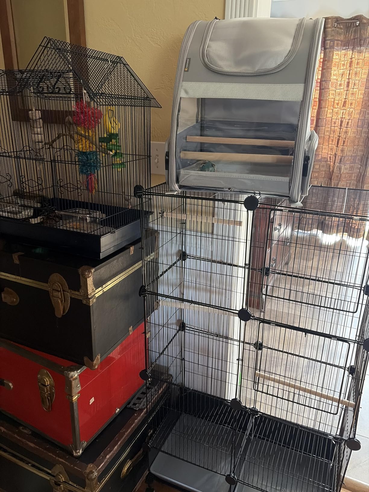 VISCOO Upgraded Encrypted 46-Inch Bird Cage, with Wooden Perches, Metal Parakeet Cage with Slide-Out Tray, Water Bottle & Feeder, Bird Cages for Parrot, Parakeets, Cockatiel, Lovebird, Small Mid-Sized Birds customer photo 2