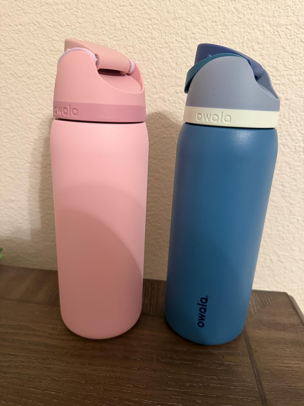 Owala FreeSip Insulated Stainless Steel Water Bottle with Straw, BPA-Free Sports Water Bottle, Great for Travel, 24 Oz, Off Road customer photo 1