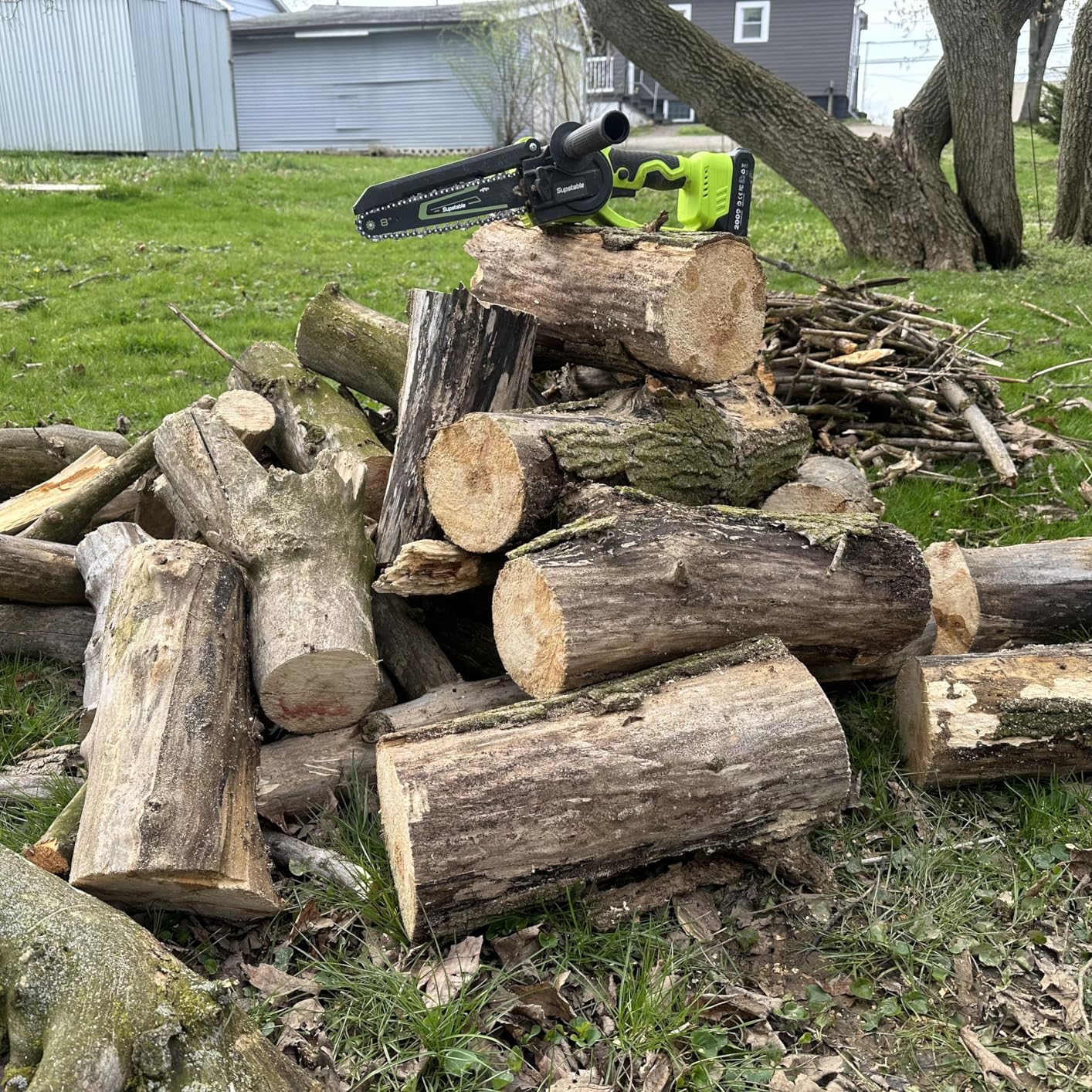 Mini Chainsaw Cordless, 8 Inch & 6 Inch Electric Chainsaw Battery Powered, 1000W Brushless Handheld Power Chain Saw with 2 Batteries, Small Tree Saw for Branch Trimming Wood Cutting customer photo 2