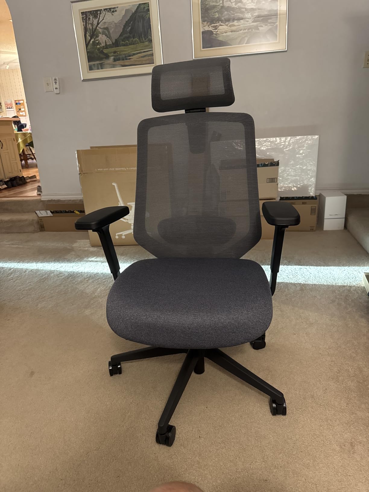 Branch Ergonomic Chair Pro - Mesh Office Chair with 14 Points of Adjustment - Height, Depth & Tilt Adjustable - 5D Armrests - Forward Tilt, Smooth Recline, and Lumbar Support customer photo 1