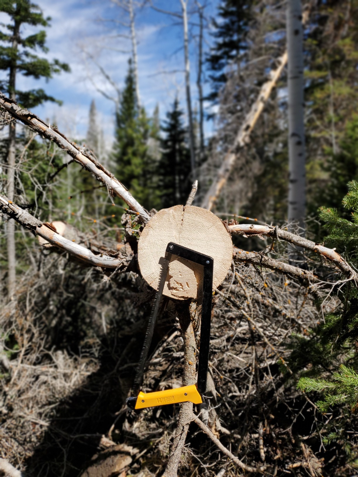 AGAWA ADK26 - Transforming Hatchet & Camping Axe - 2-in-1 Carbon Steel Log Splitter - Camping Gear for Hiking, Fishing, Hunting, Bushcraft, Survival Kit & Bug Out Bag customer photo 2