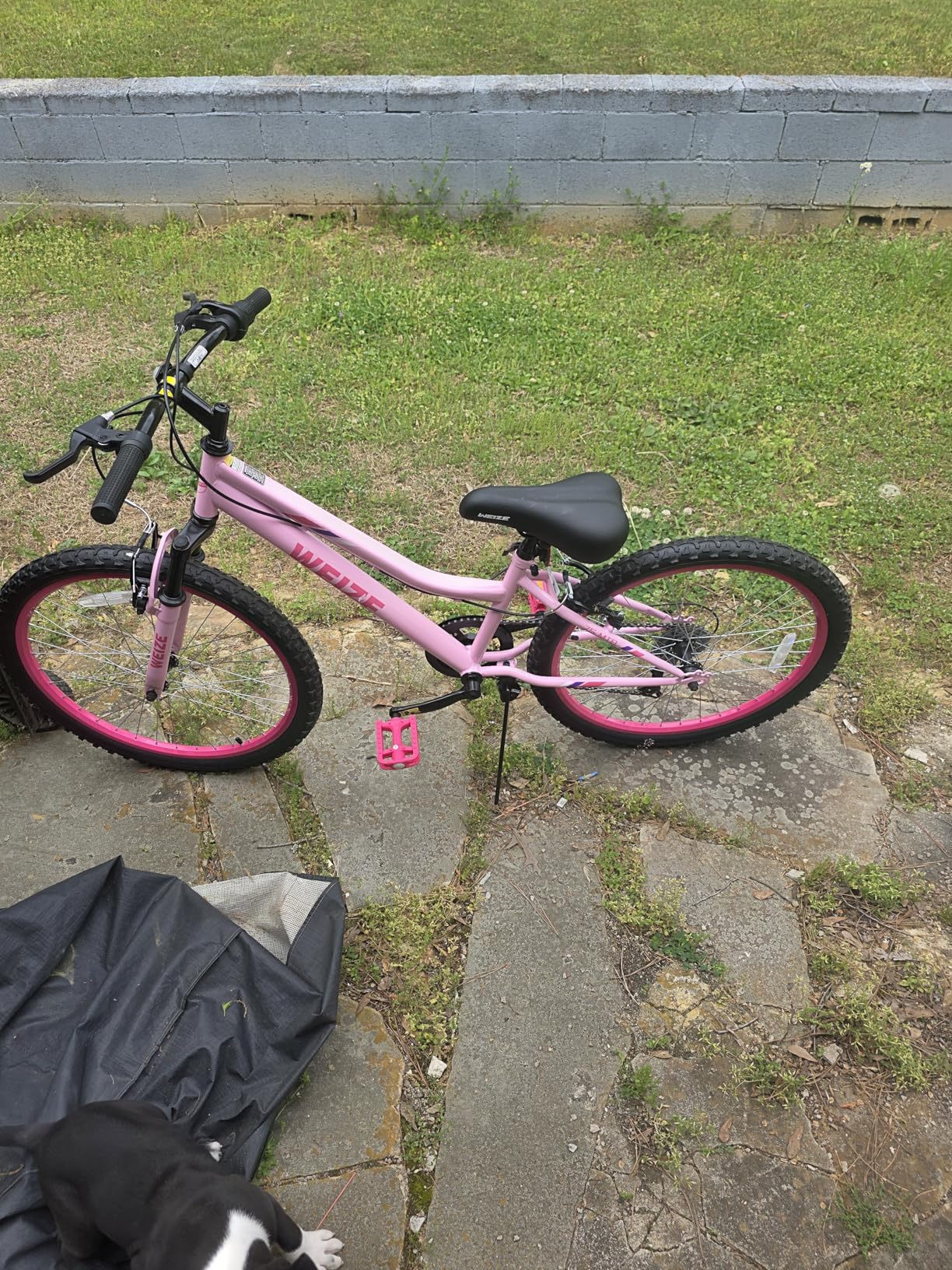 WEIZE 20 24 Inch Kids Mountain Bike, Kids Bike for Girls Age 6-14 Year Old, 6 Speed Kid Bicycle with Front Suspension Fork customer photo 1