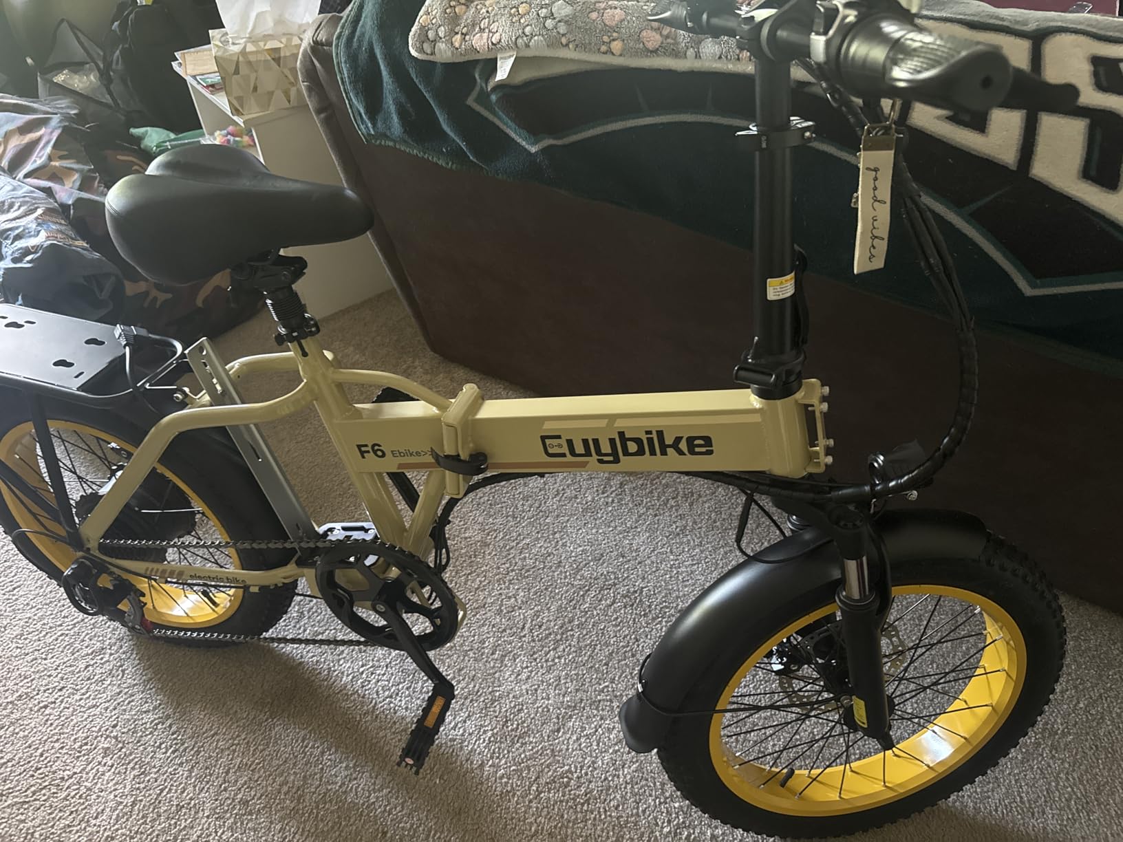 bluebiko 1000W Folding Electric Bike, 48V 20AH Large Removable Battery, 80 Miles Max Range, 20