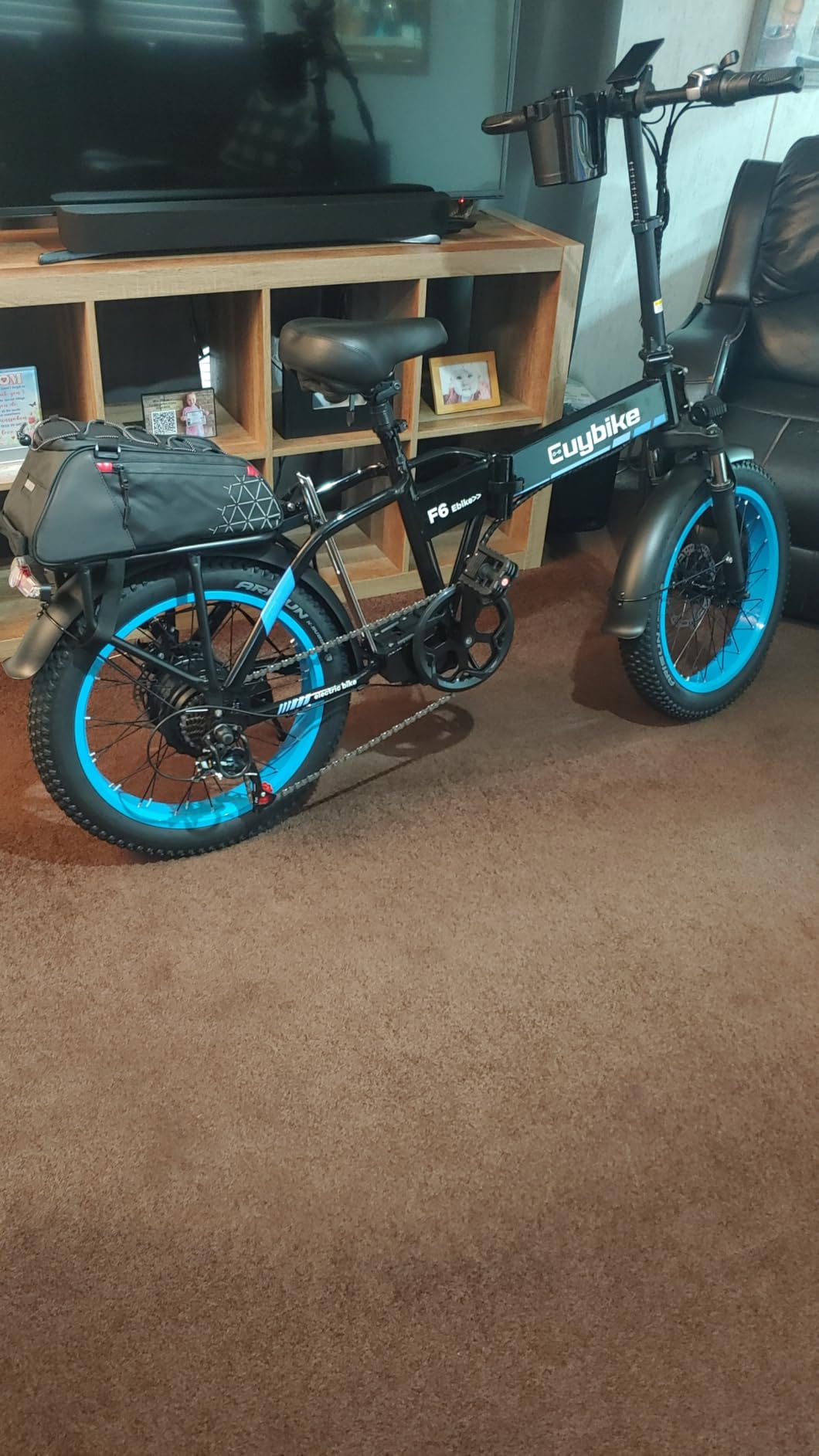 bluebiko 1000W Folding Electric Bike, 48V 20AH Large Removable Battery, 80 Miles Max Range, 20