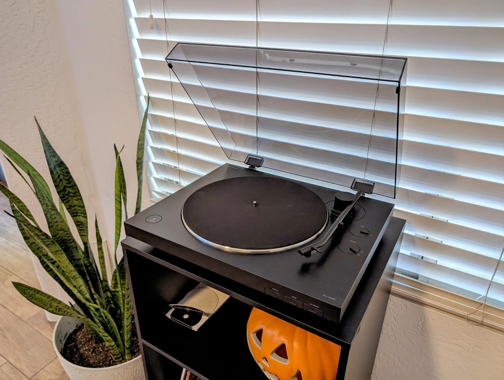 Sony PS-LX3BT Wireless Bluetooth Turntable (2026 Model) : Fully Automatic Belt Drive Vinyl Record Player with Built-in Phono EQ, Black customer photo 1
