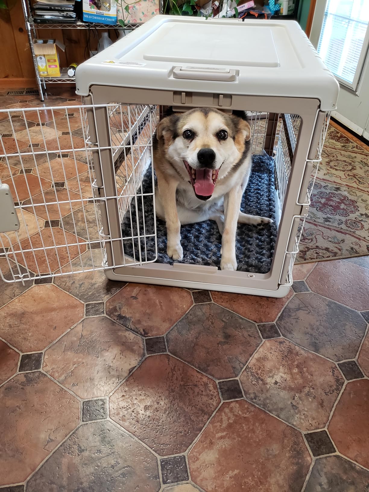 ZOMISIA Collapsible Dog Crate with Bed Mat, 28
