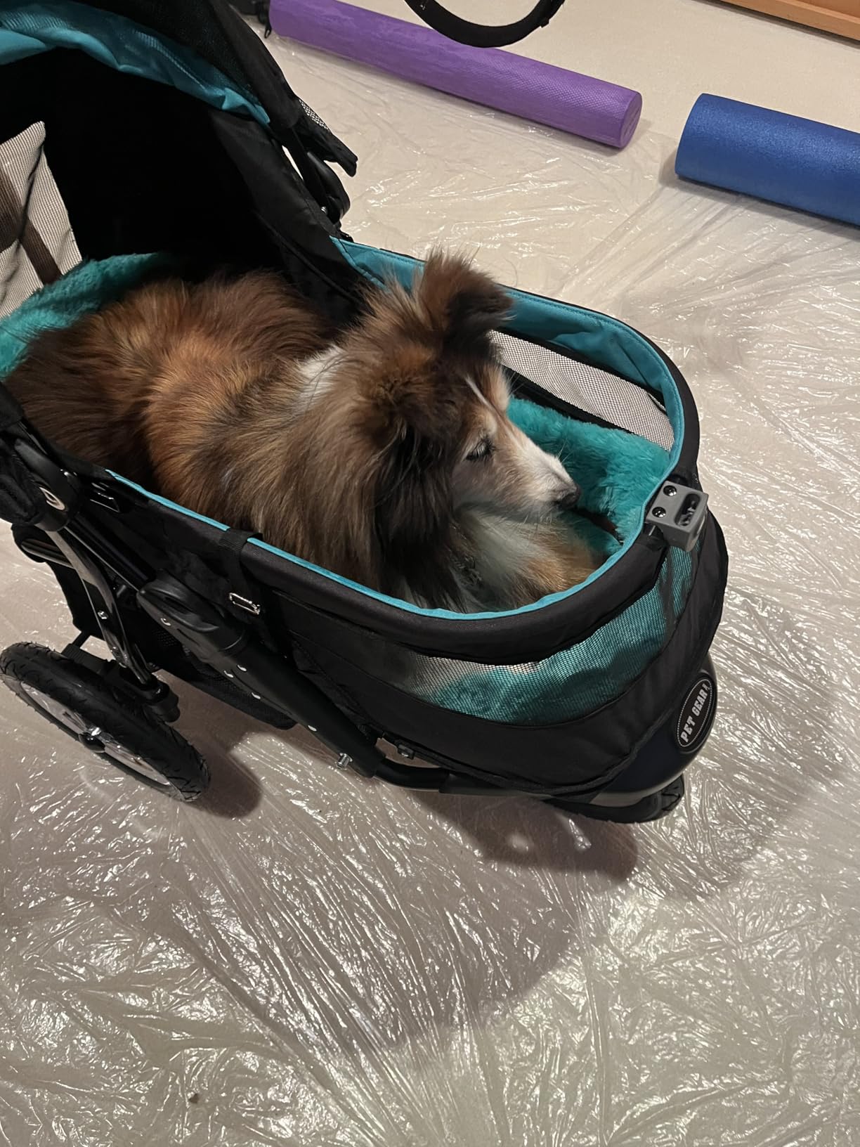Pet Gear No-Zip NV Pet Stroller for Cats/Dogs, Zipperless Entry, Easy One-Hand Fold, Gel-Filled Tires, Plush Pad + Weather Cover Included, Caribbean Blue customer photo 1