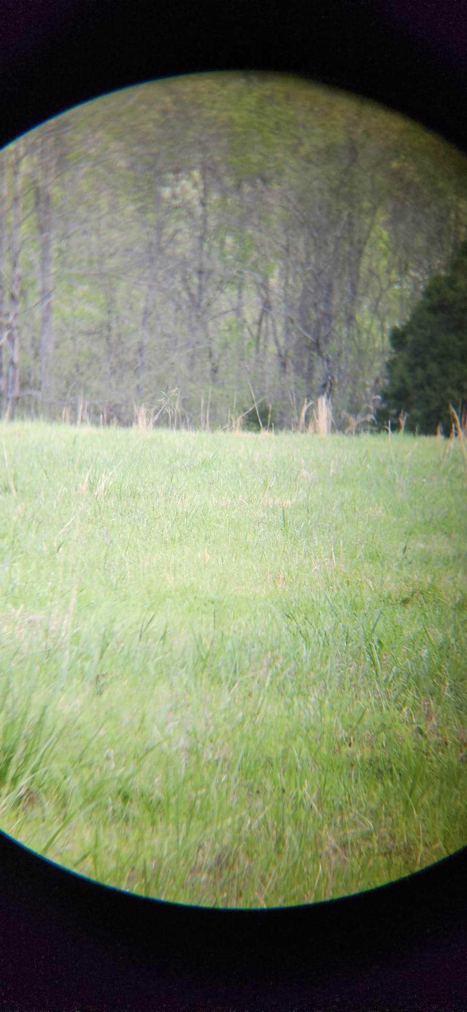 Vortex Triumph HD 10x28 Binoculars customer photo 2
