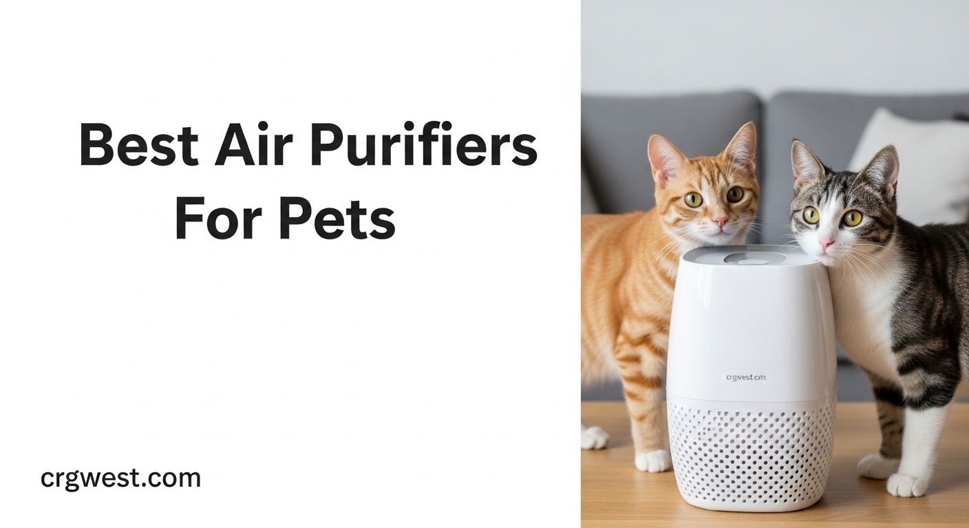 Best Air Purifiers For Pets