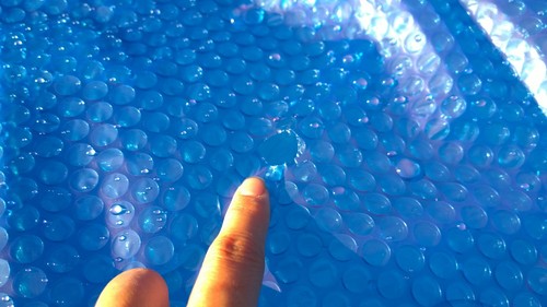 INTEX 28013E Solar Pool Cover: for 15ft Round Easy Set and Metal Frame Pools - Insulates Pool Water - Reduces Water Evaporation - Keeps Debris Out - Reduces Chemical Consumption customer photo 2