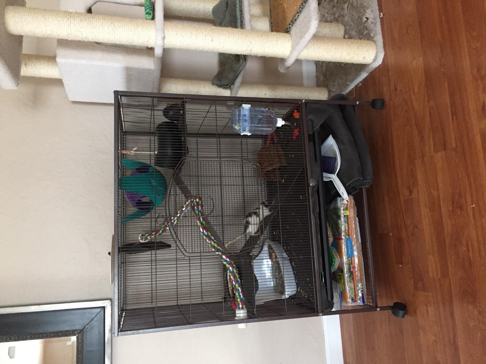 Prevue Pet Products Rolling Small Animal Cage - Ideal for Rats, Chinchillas, Ferrets, Guinea Pigs, Chew-Proof Critter House, Easy to Clean - Earthtone Dusted Rose Hammertone Finish customer photo 2