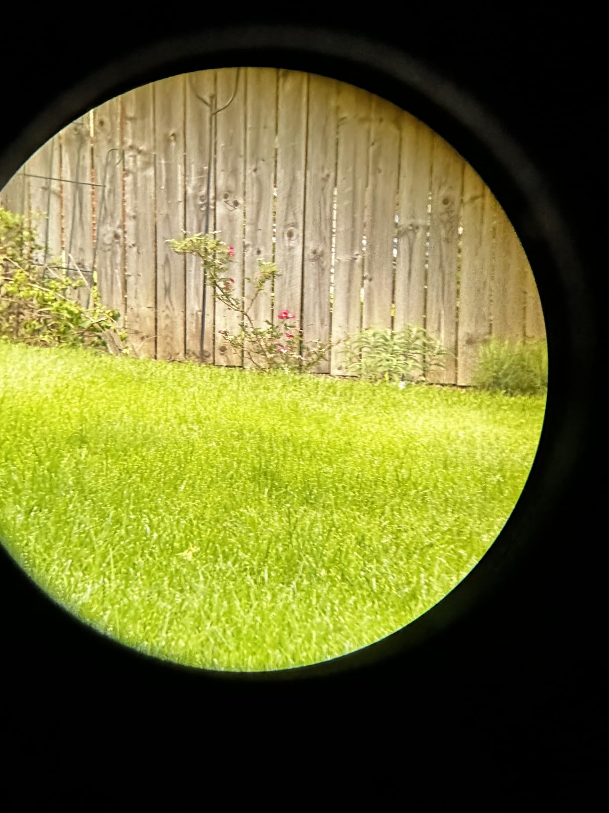 Vortex Optics Solo Monocular 10x25 - Adjustable Eyecup, Fully Multi-Coated Lenses, Rubber Armor, Non-Slip Grip, Fogproof, Waterproof customer photo 1
