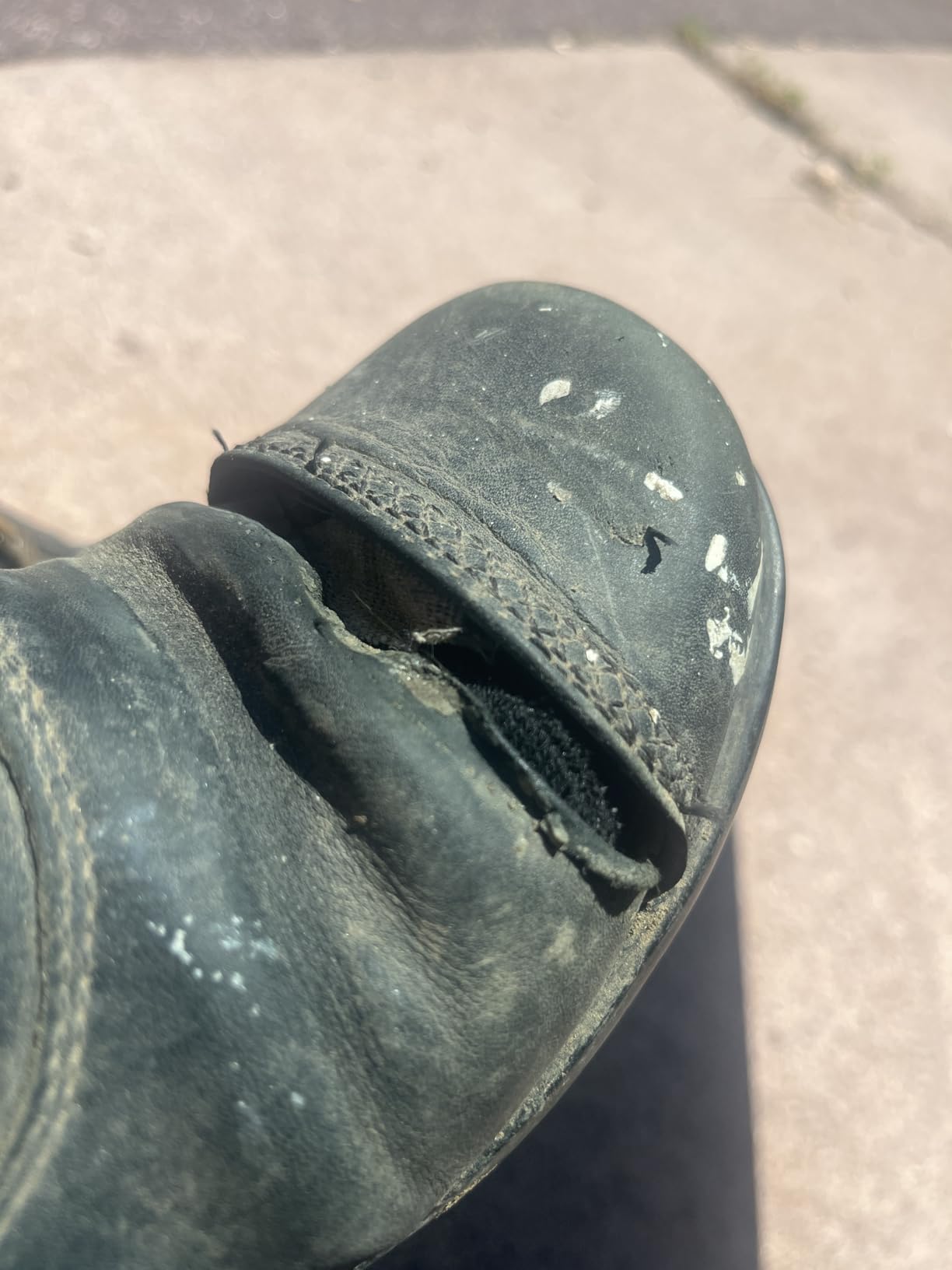 ARIAT Women's Heritage Rt Zip Paddock Boot customer photo 2