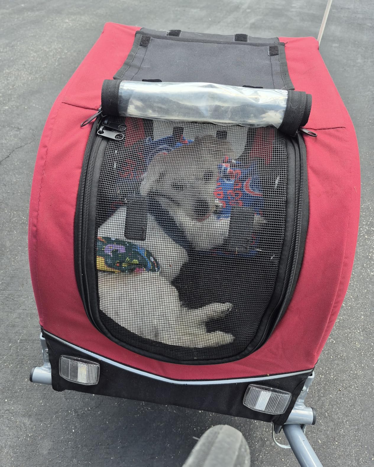 TRIXIE Large Dog Bike Trailer - Foldable Pet Bicycle Trailer for Dogs up to 66lbs, Quick Fastening Wheels, 2 Doors, Safety Leash & Waterproof Carrier customer photo 2