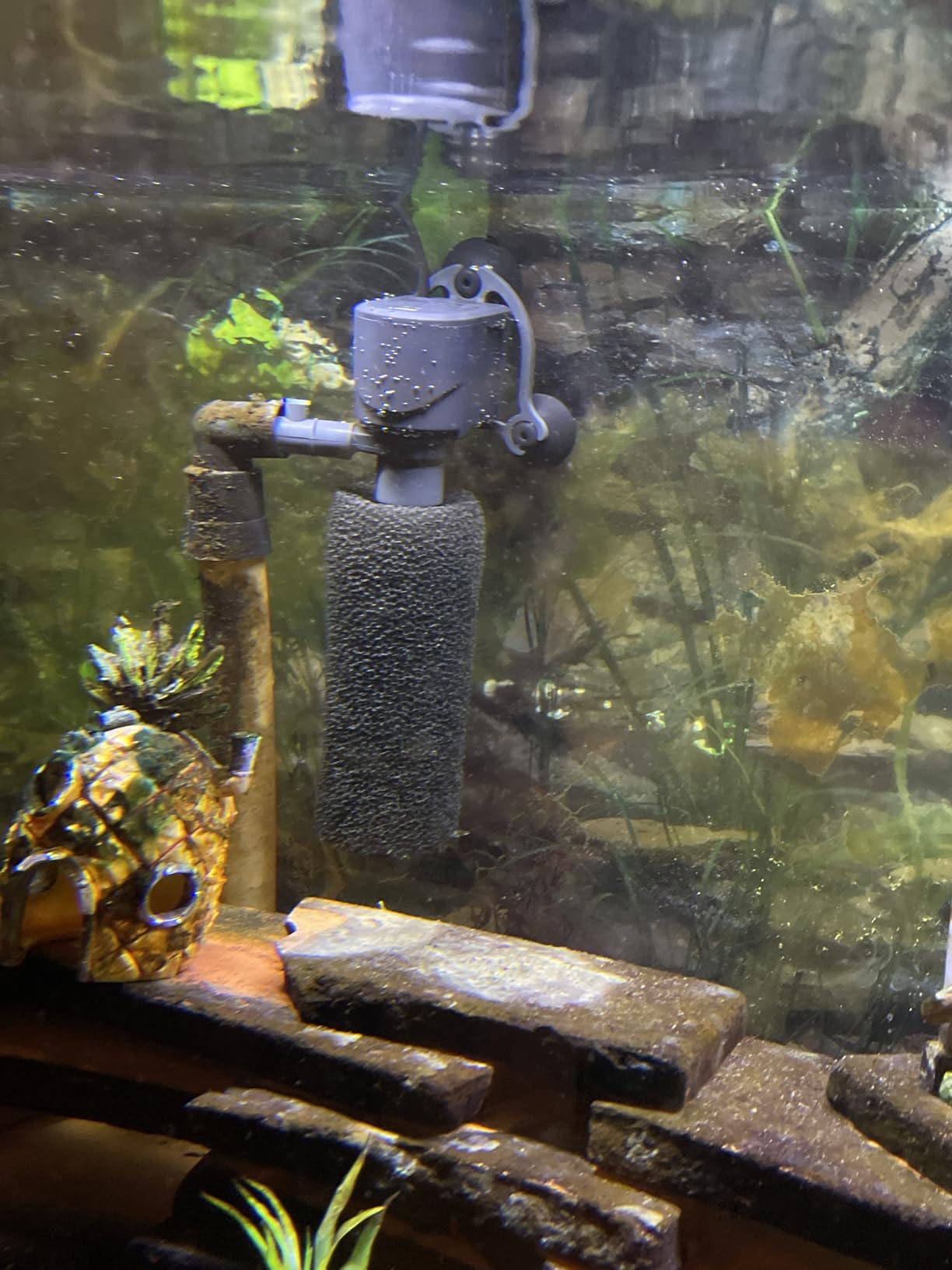 Marineland Maxi-Jet 600, Multi-Use Water Pump And Power Head, Fully Convertible (ML90510), 160/750 GPH customer photo 1