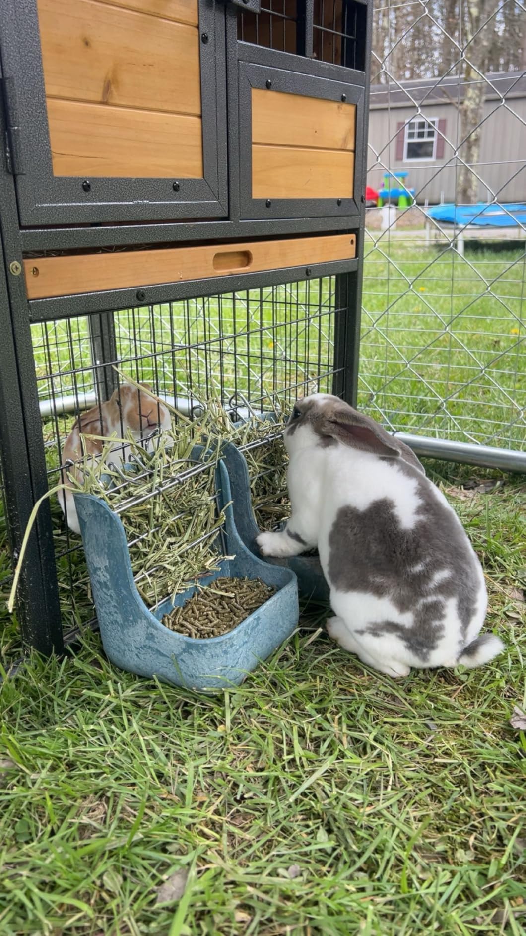 Kaytee Hay & Food Bin Feeder With Quick Locks For Pet Rabbits, Chinchillas, Guinea Pigs and Other Small Animals customer photo 1