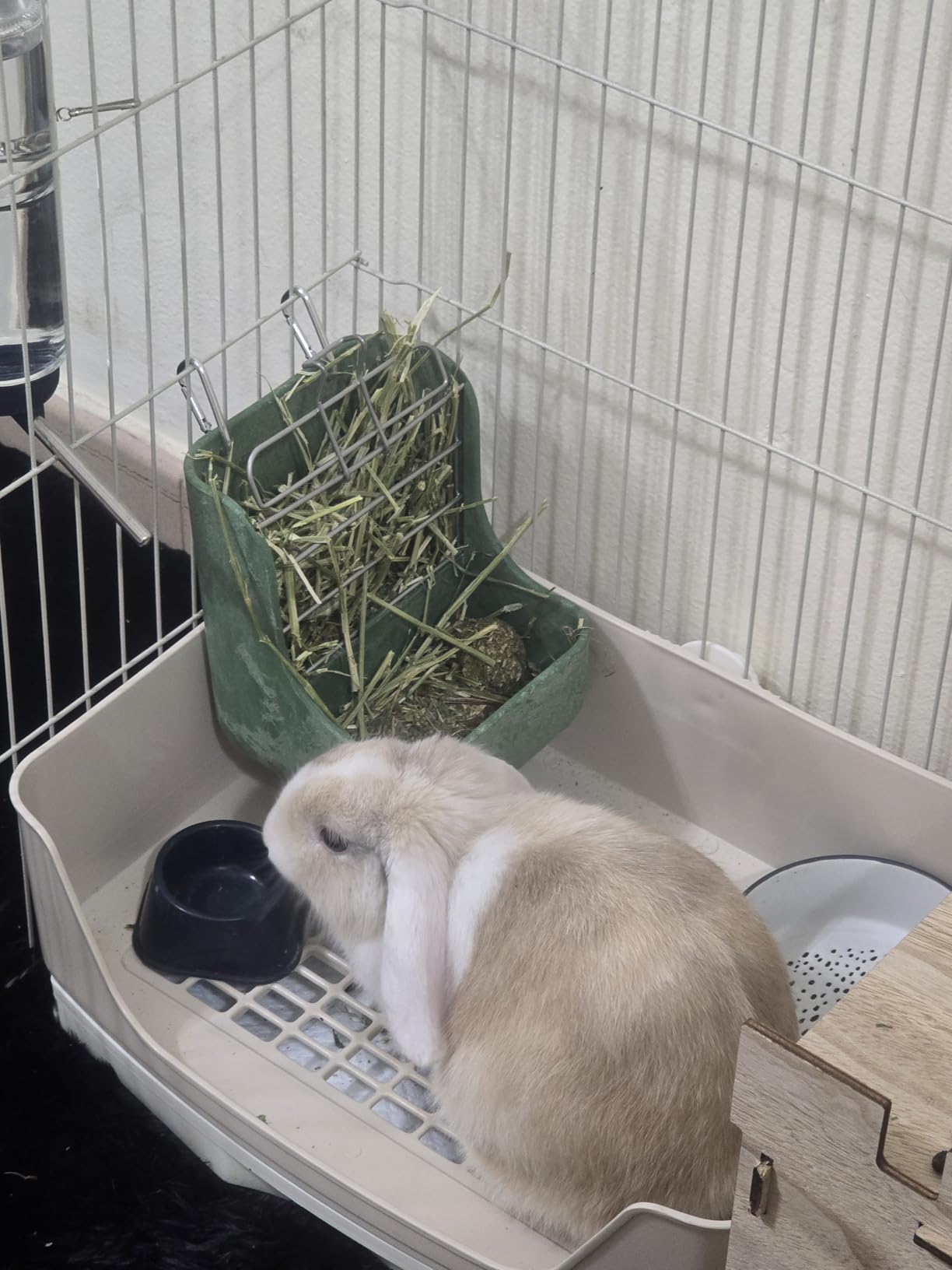 Kaytee Hay & Food Bin Feeder With Quick Locks For Pet Rabbits, Chinchillas, Guinea Pigs and Other Small Animals customer photo 2